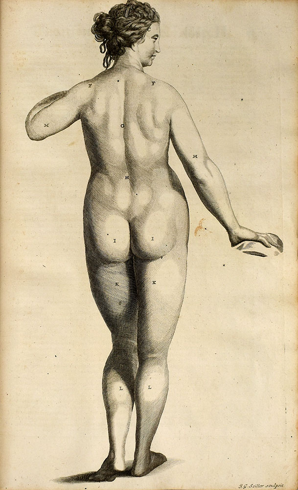 10857DB_7.jpg