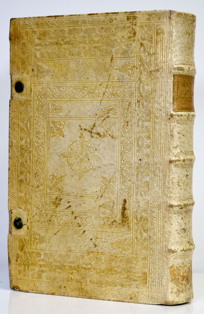 11258DB_2.jpg