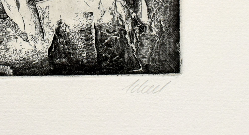 12682DB_2.jpg
