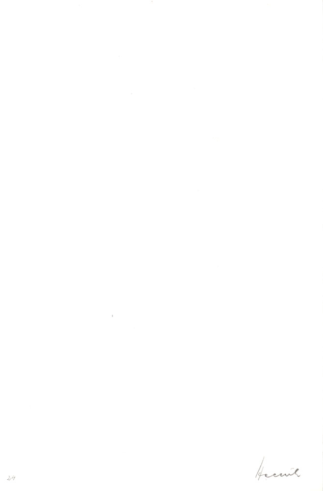 13250DB_4.jpg