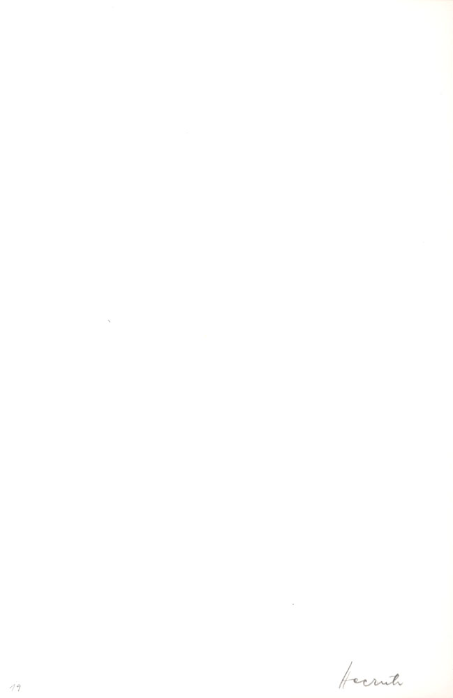 13250DB_6.jpg