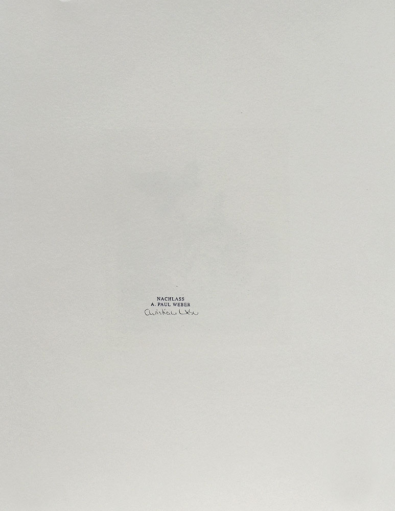 13641DB_2.jpg