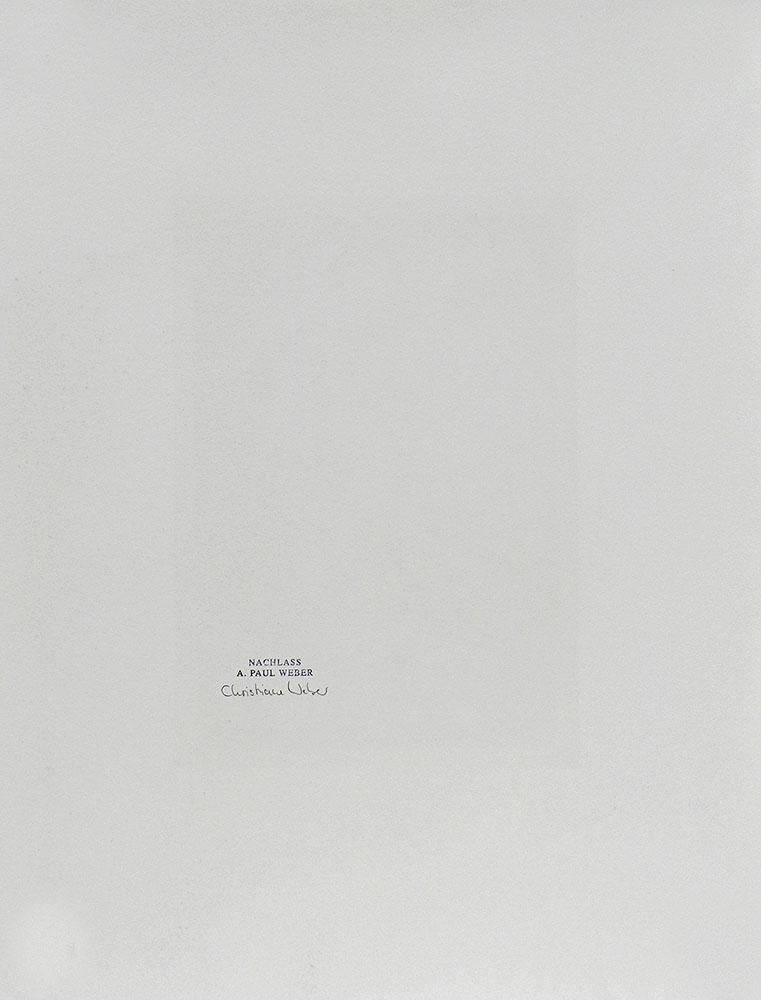 13643DB_2.jpg
