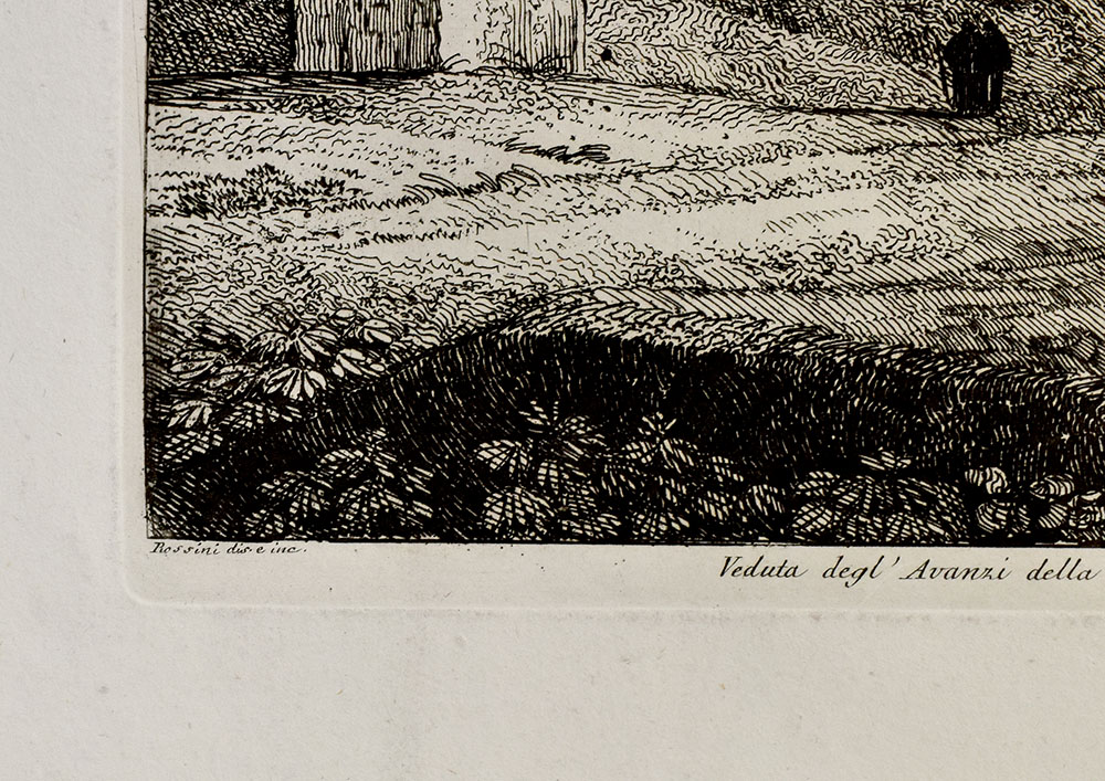 13944DB_2.jpg