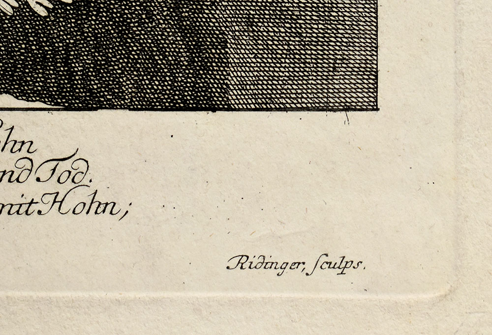 14366DB_2.jpg