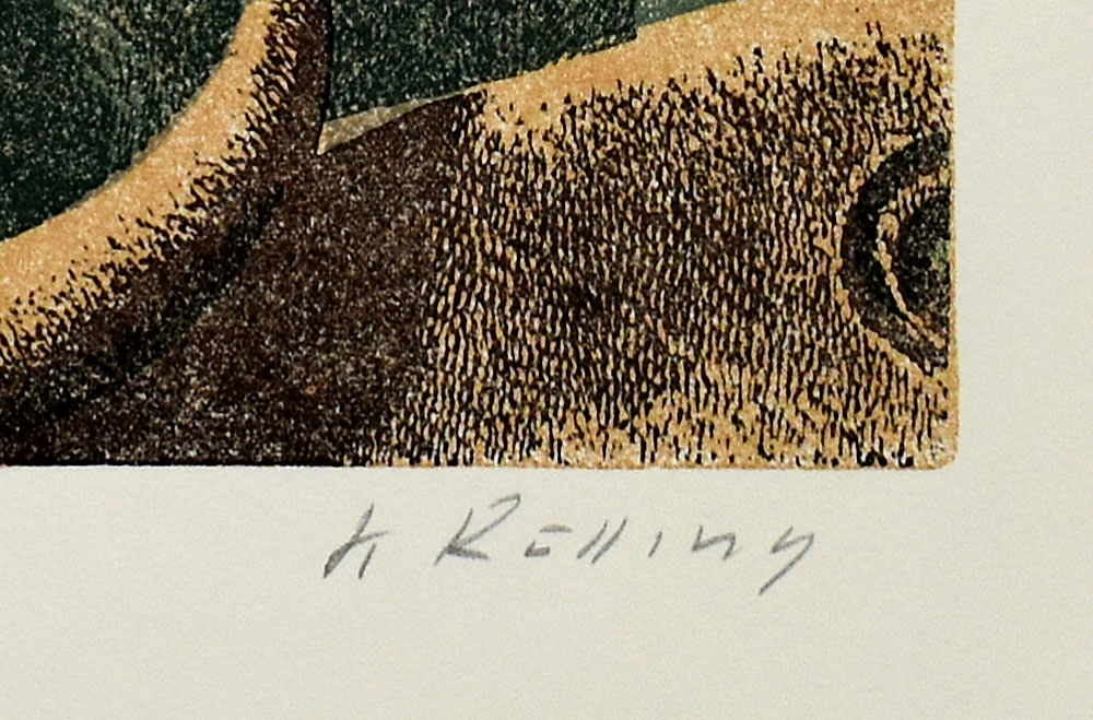 14552DB_2.jpg