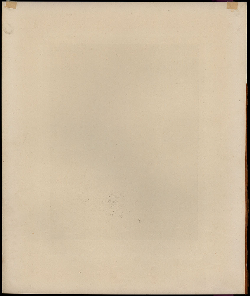 14581DB_3.jpg