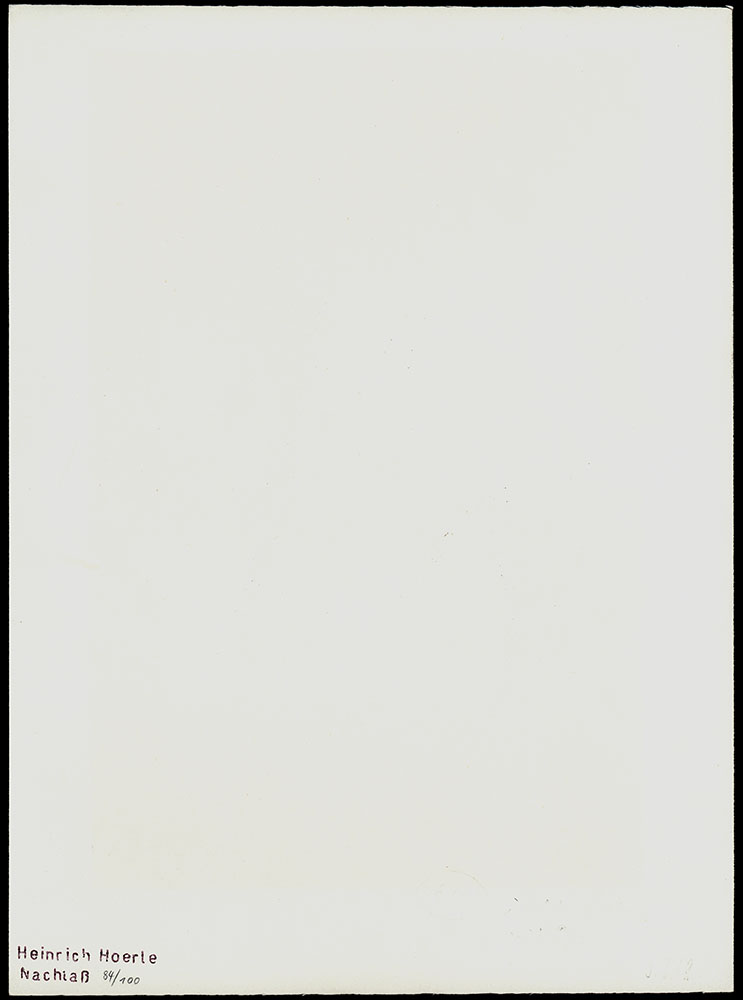 14645DB_1.jpg