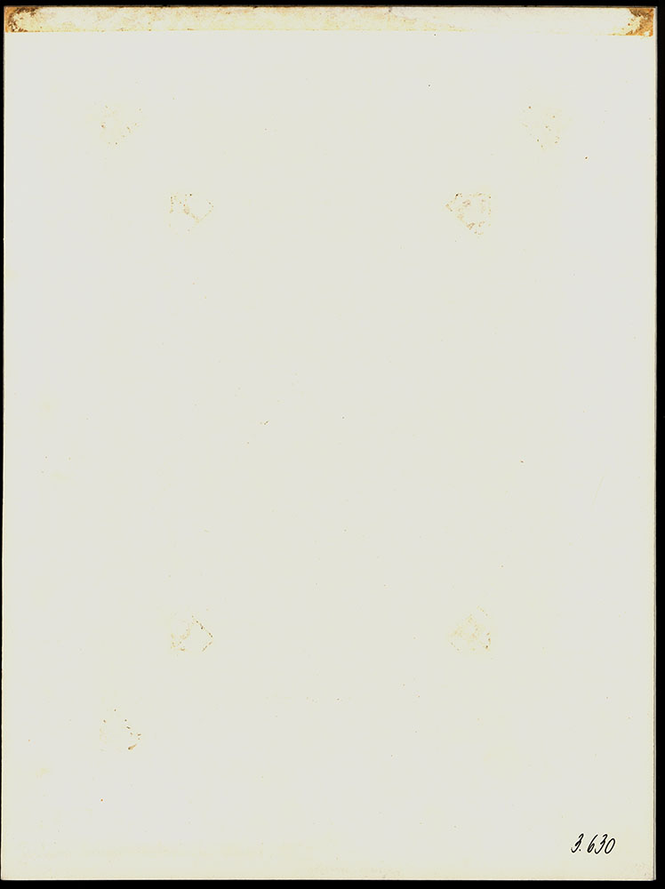 14718DB_4.jpg