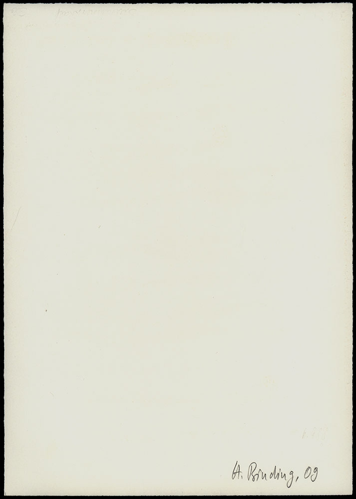 14956DB_3.jpg