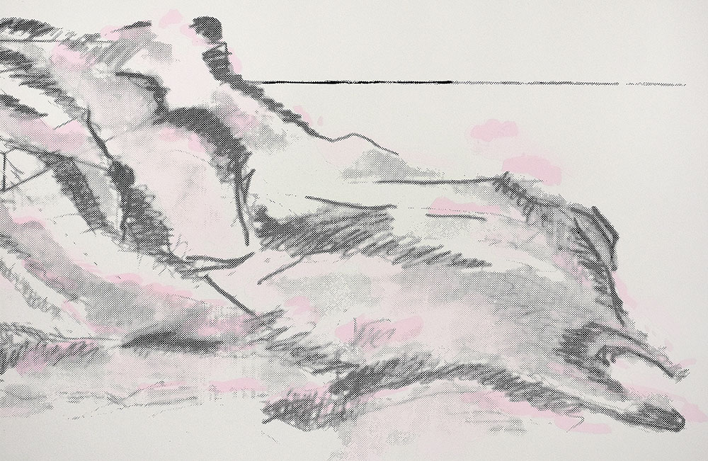 15068DB_3.jpg