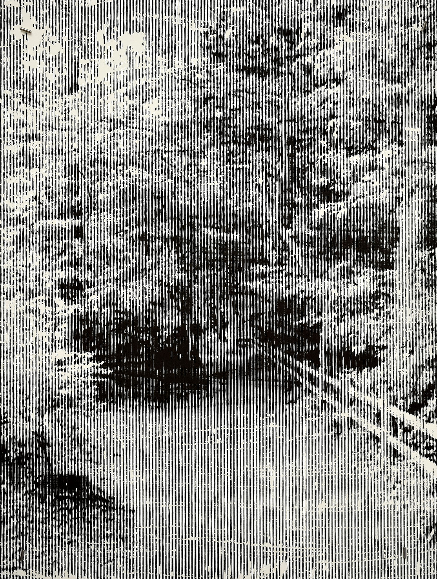 15205DB.jpg