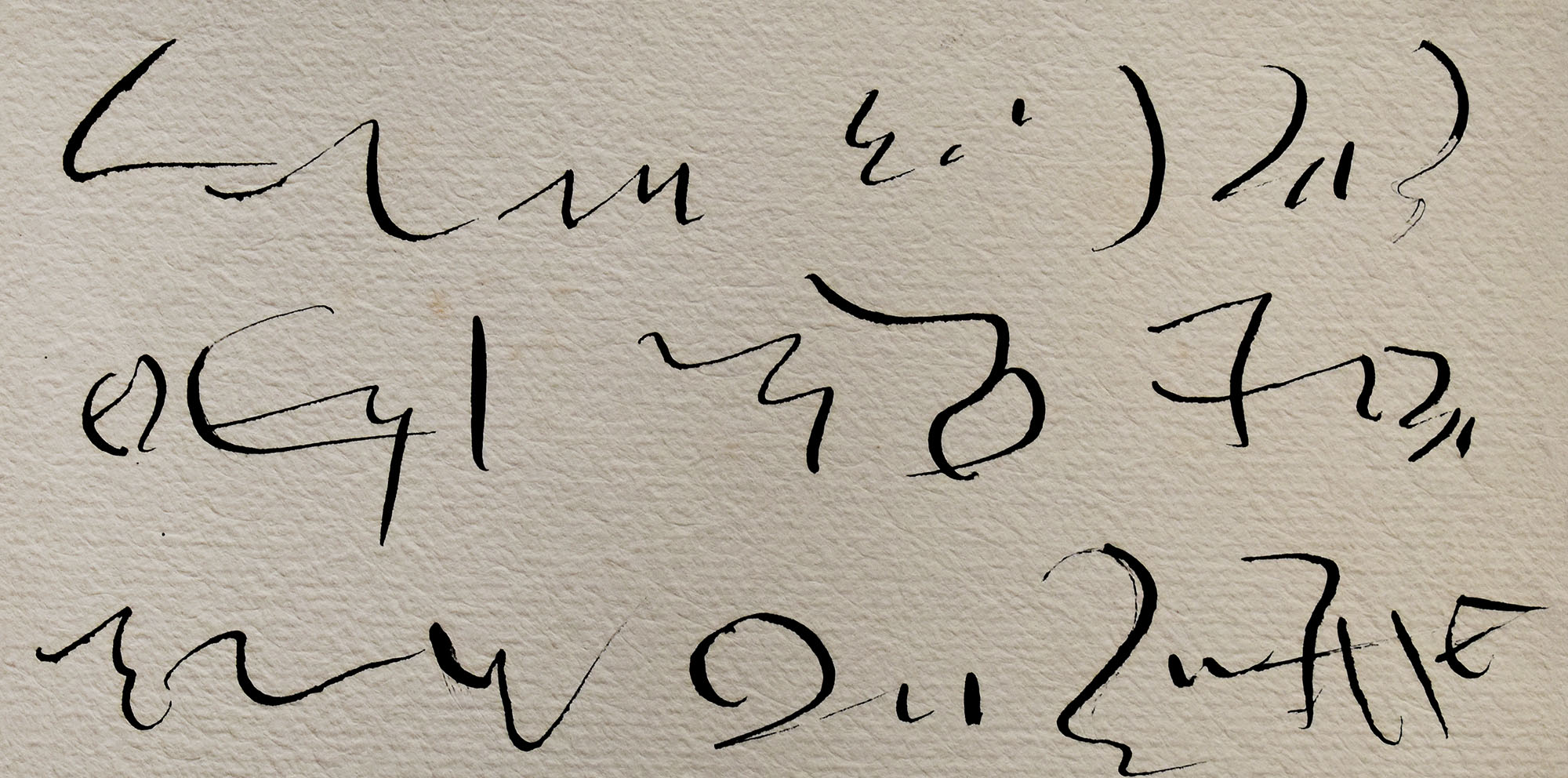 15448DB_3.jpg