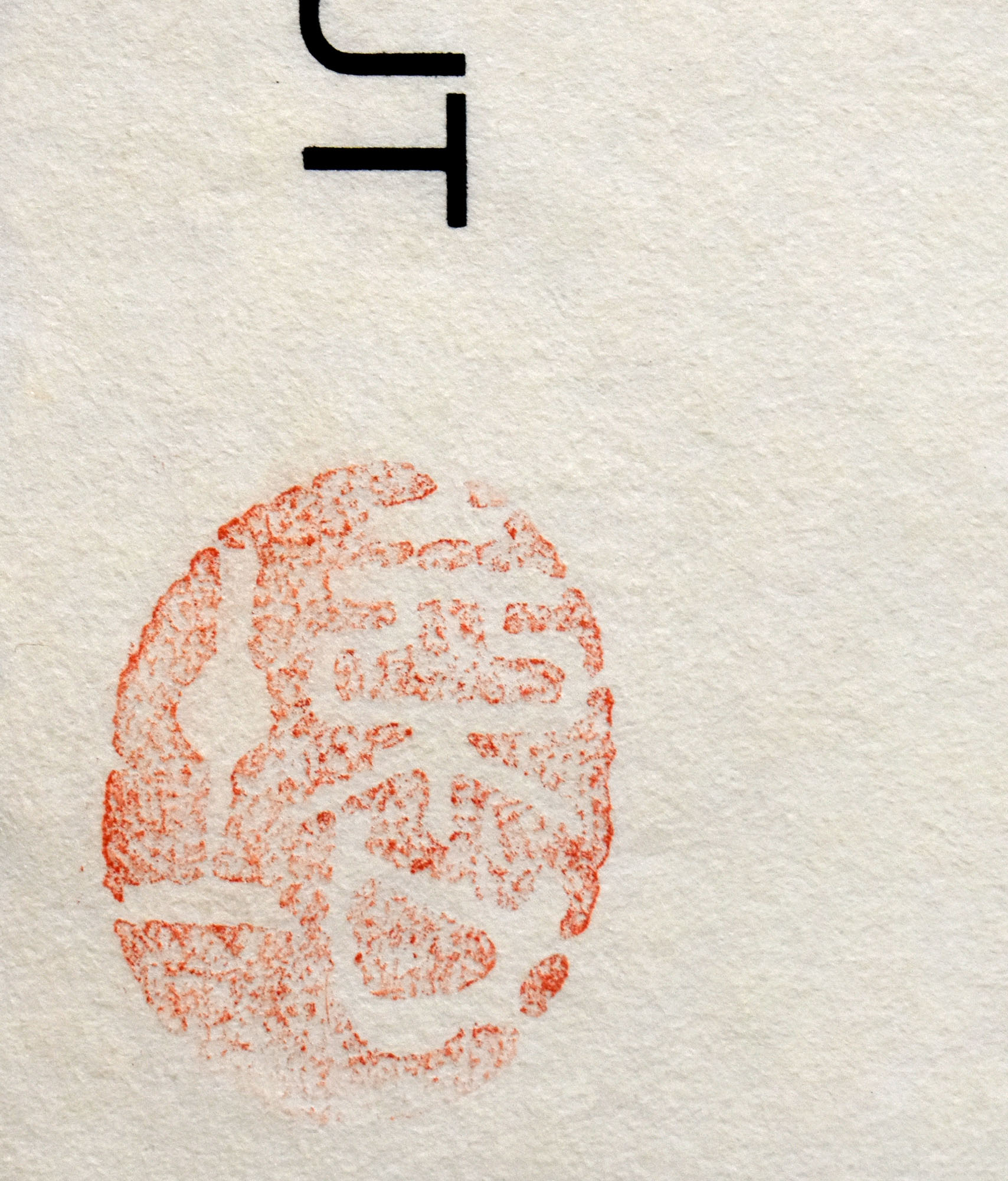 15466DB_2.jpg