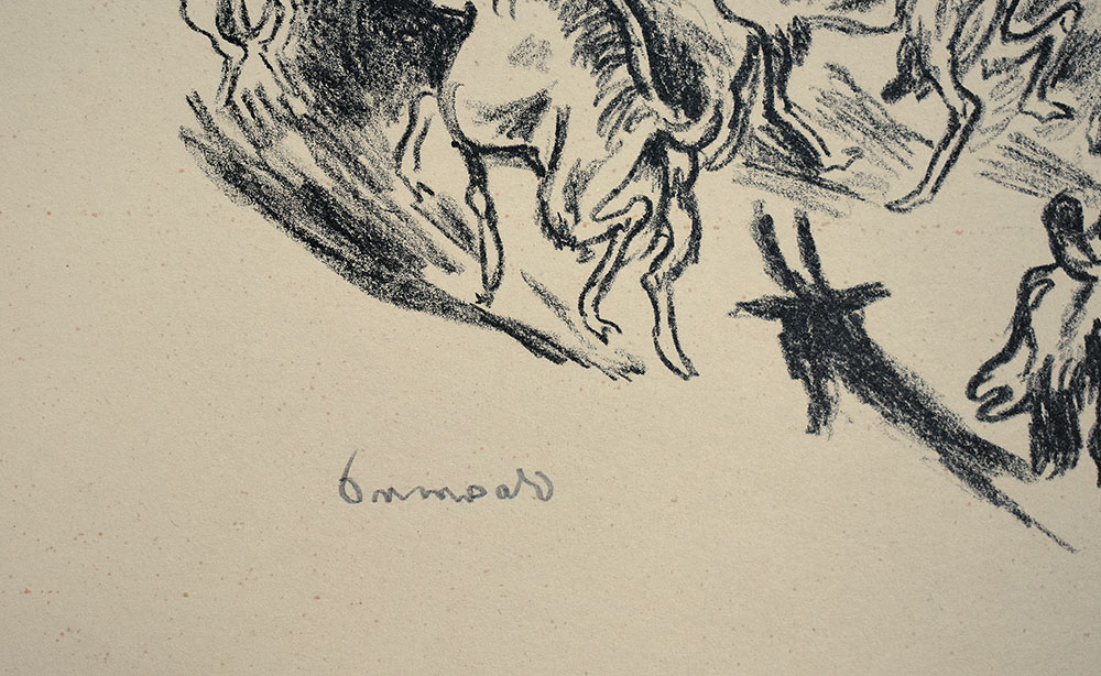 15512DB_2.jpg