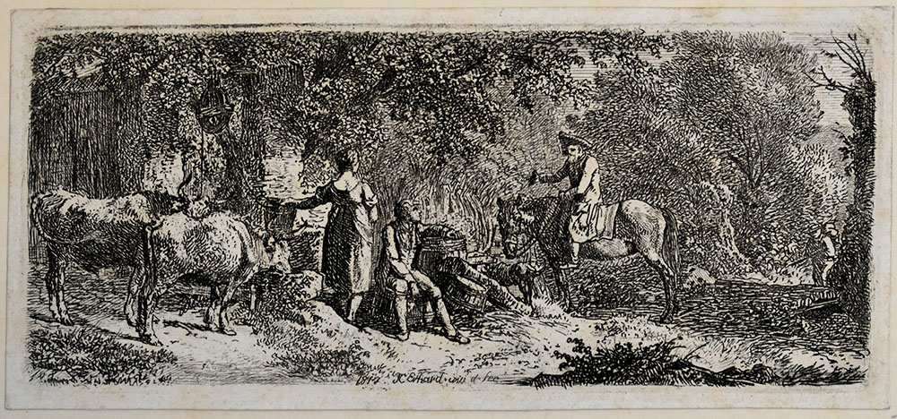 15569DB_2.jpg