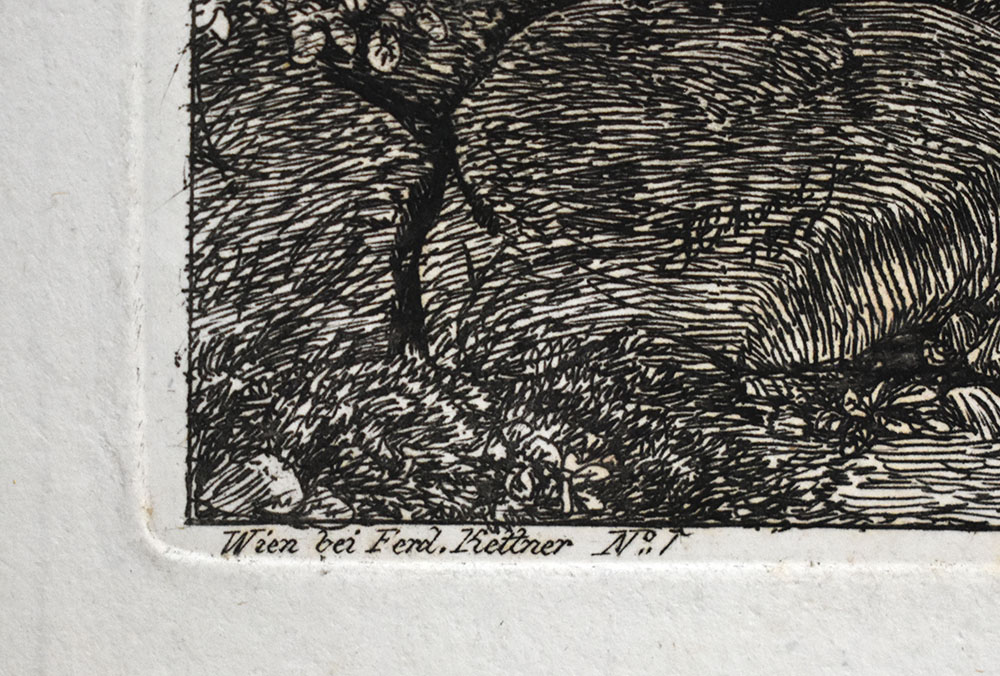 15570DB_2.jpg
