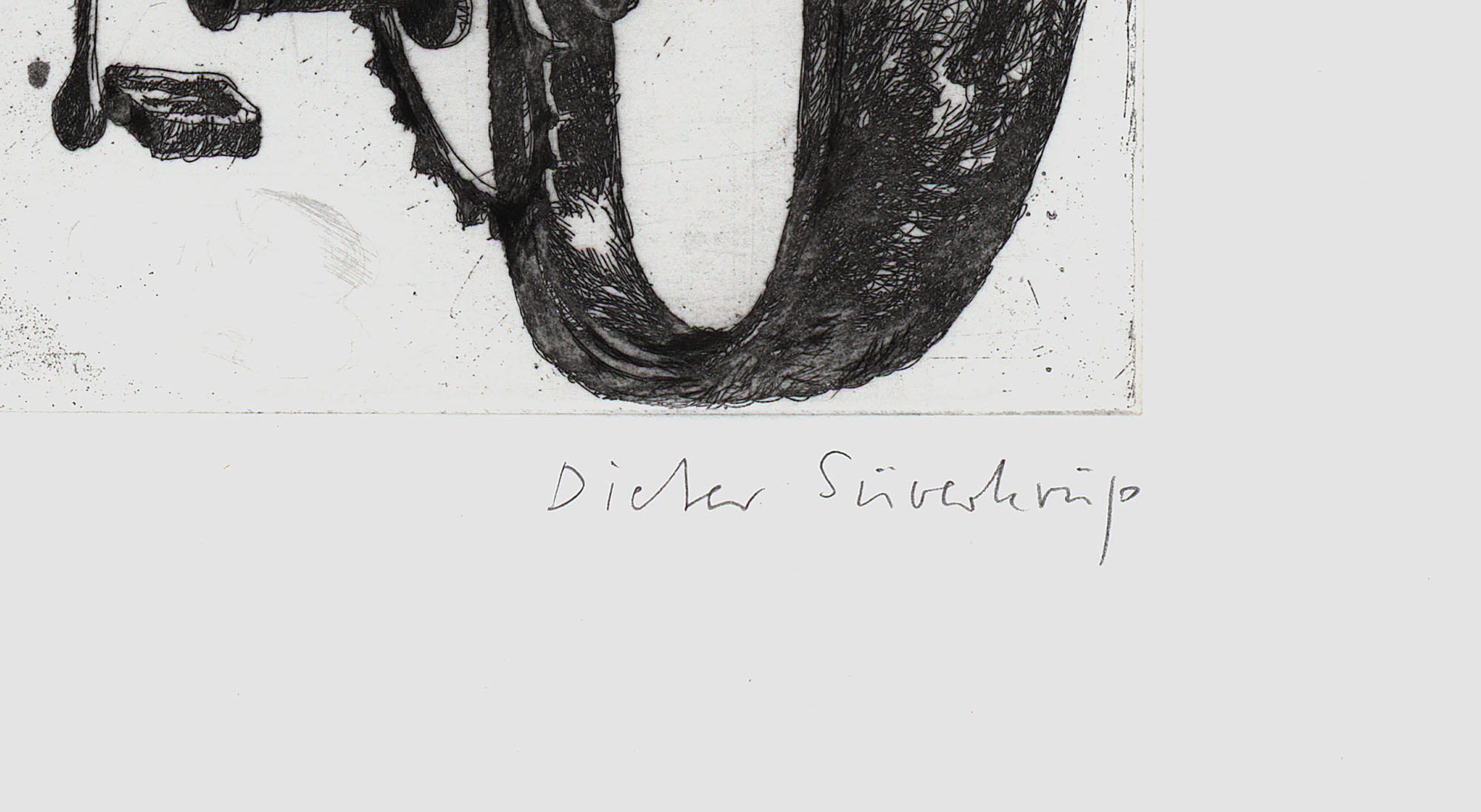 15607DB_3.jpg