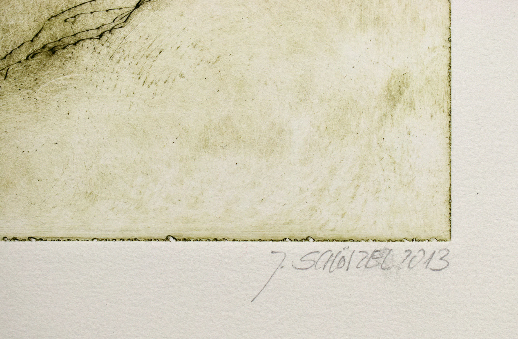 15924DB_2.jpg