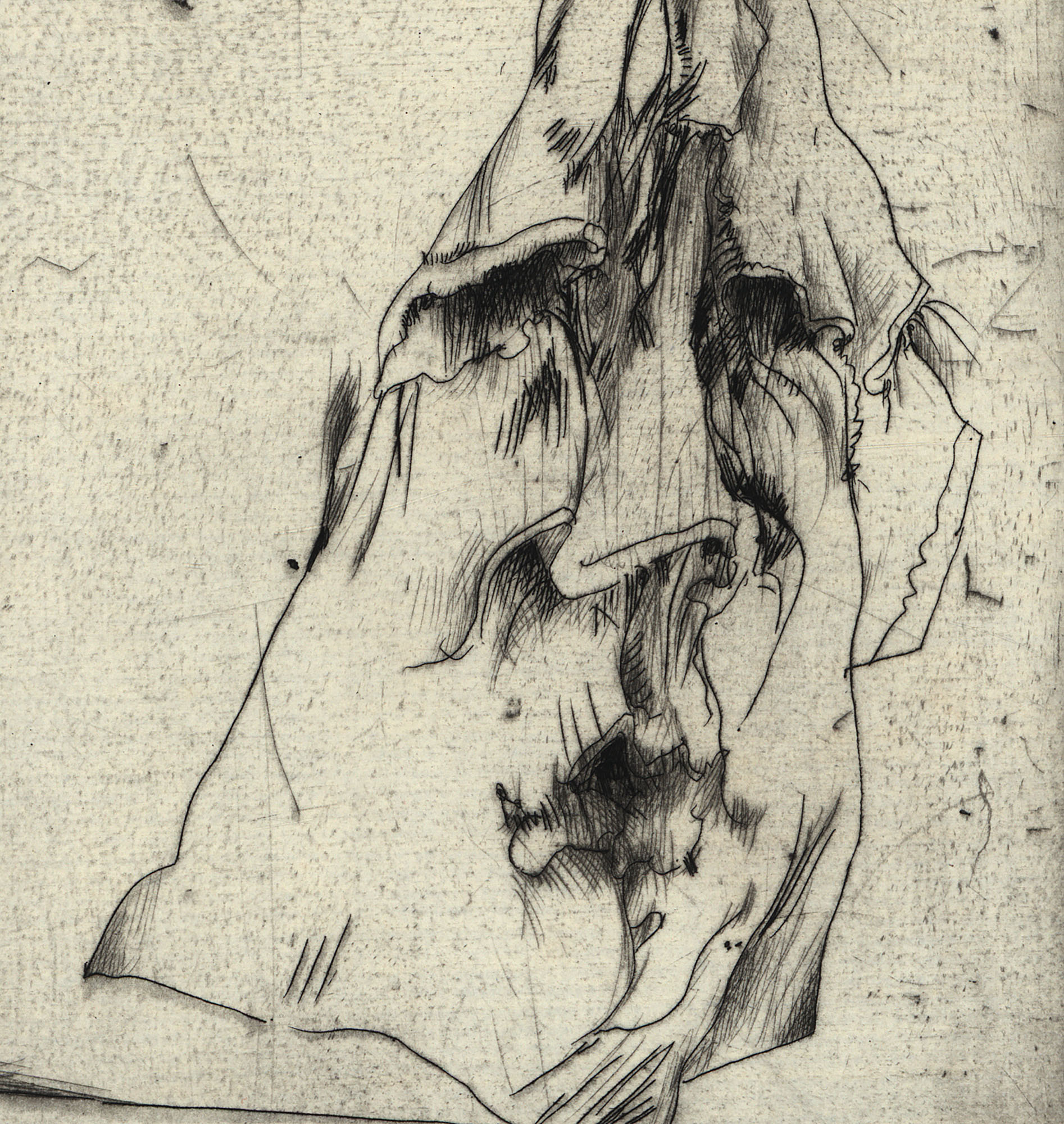 15941DB_3.jpg