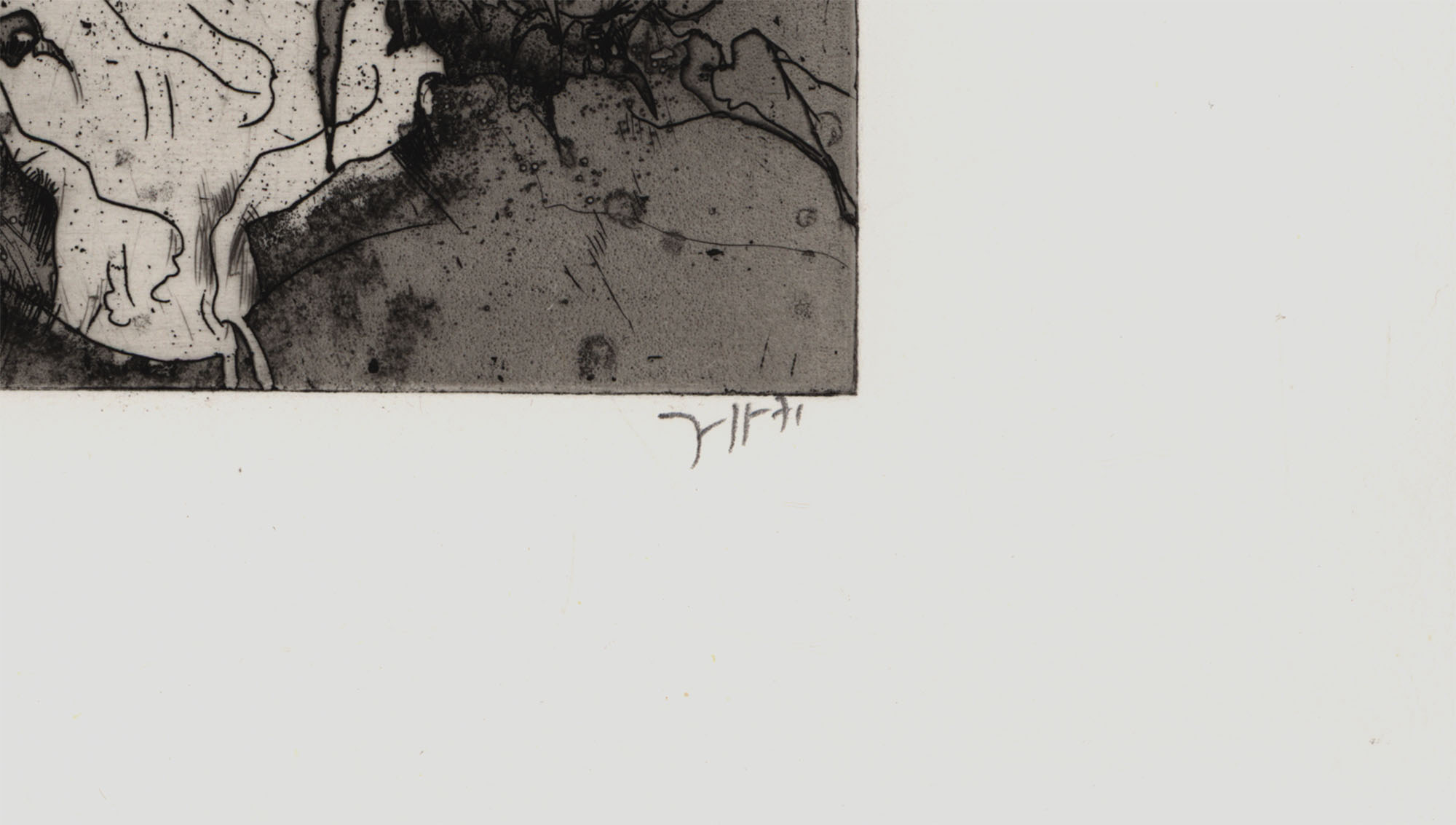 15945DB_2.jpg