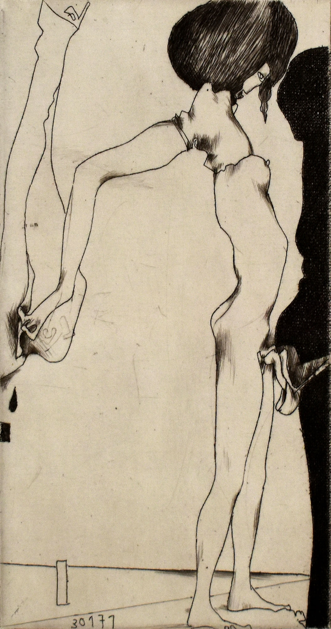 15972DB_3.jpg