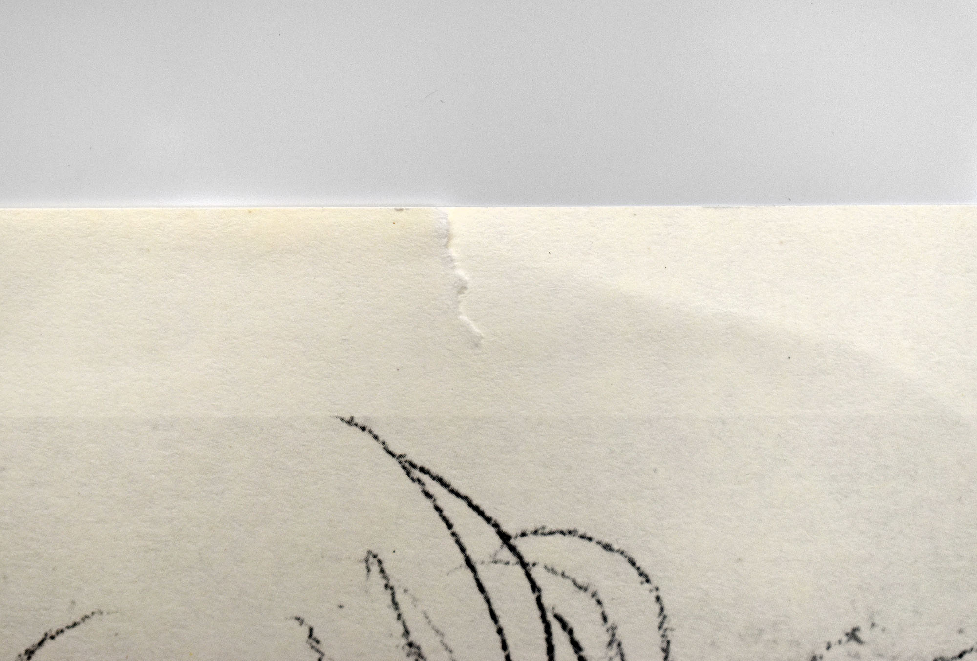 16135DB_3.jpg