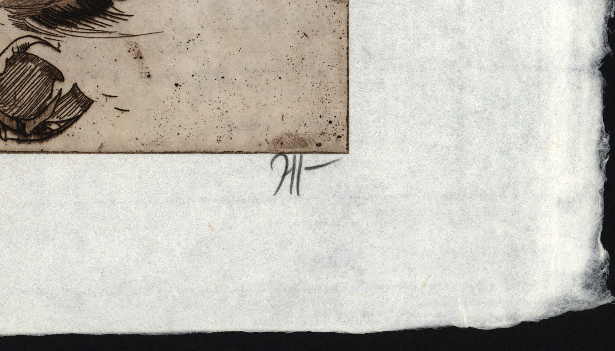 16151DB_2.jpg