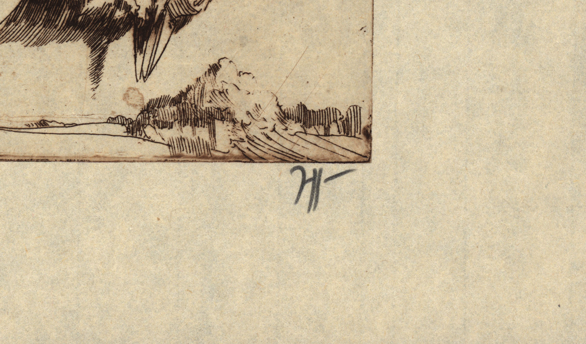 16156DB_2.jpg