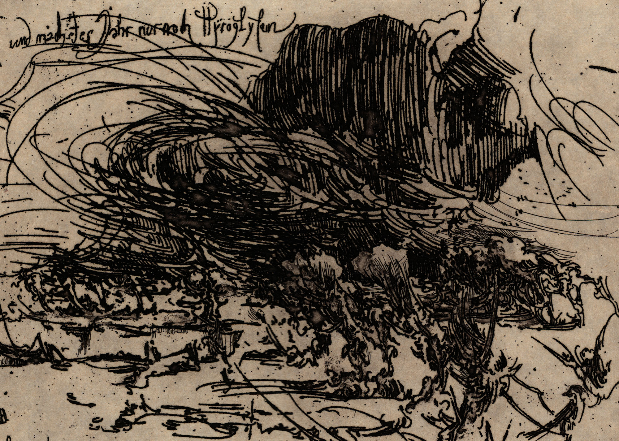 16157DB_3.jpg