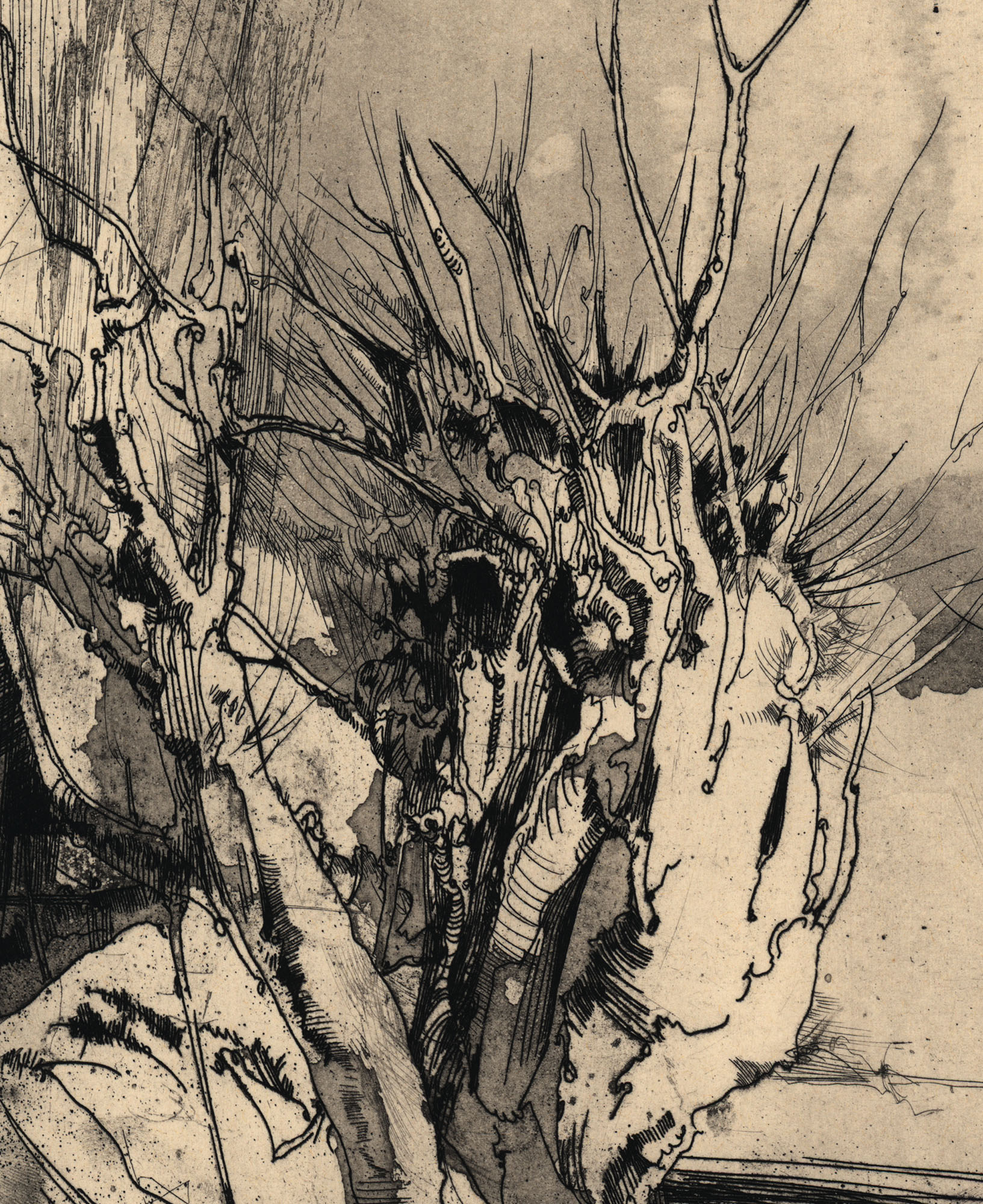 16159DB_3.jpg
