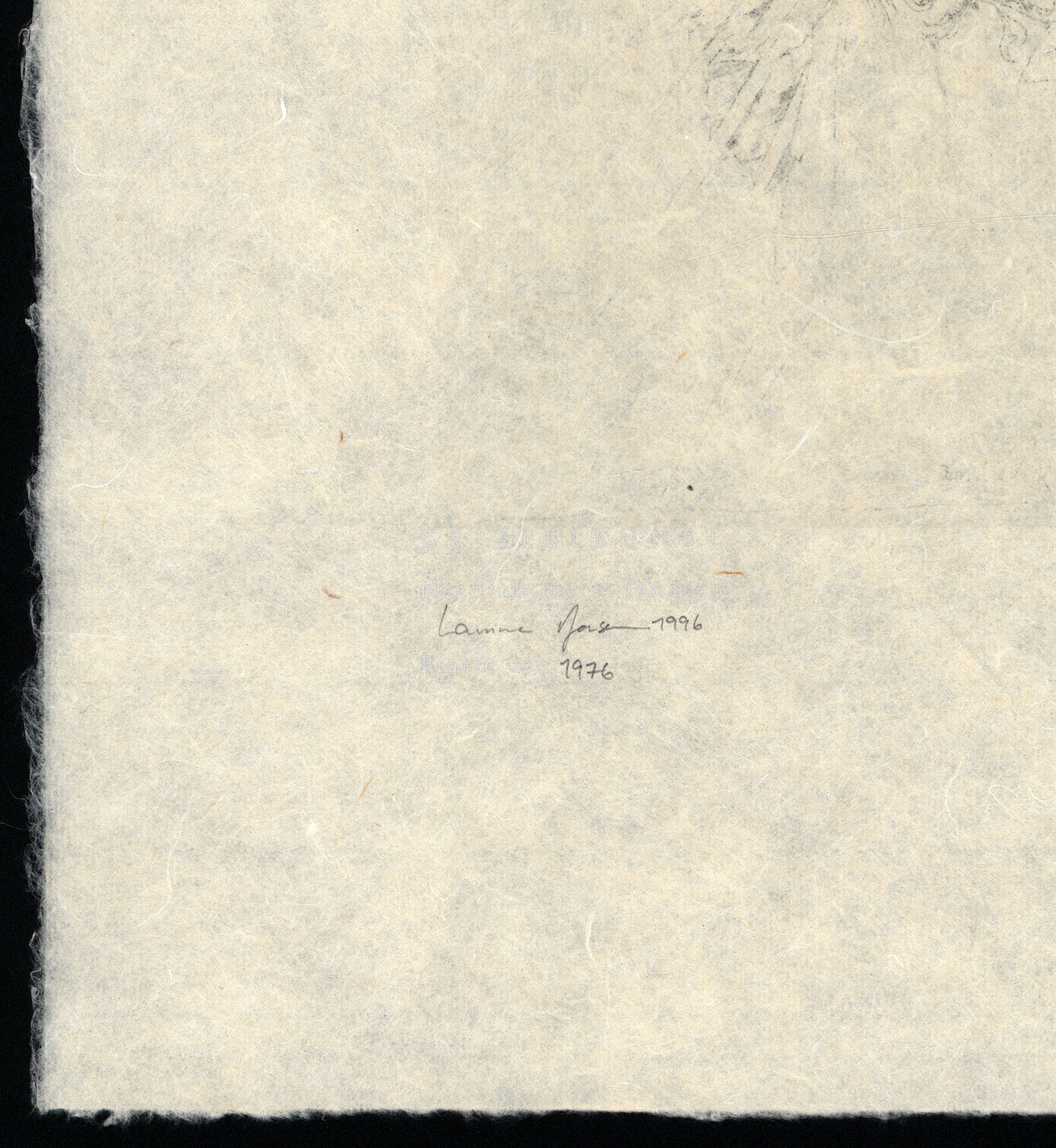 16162DB_3.jpg