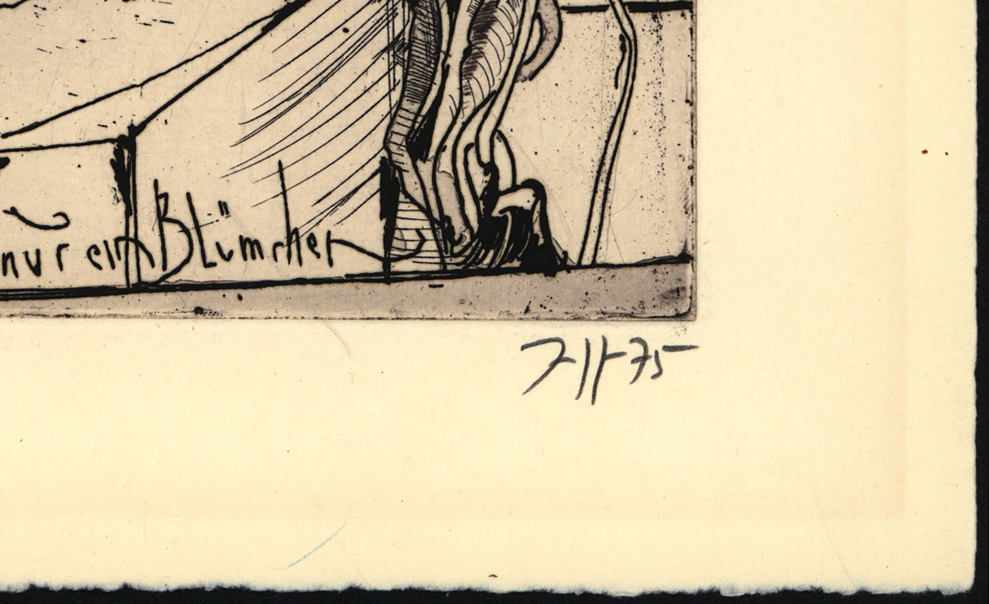 16177DB_2.jpg
