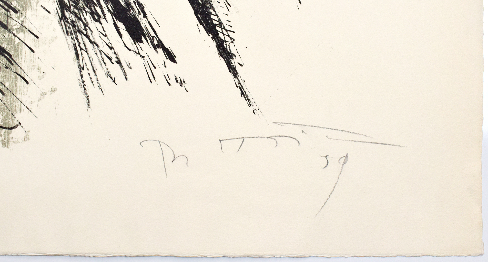 16184DB_2.jpg