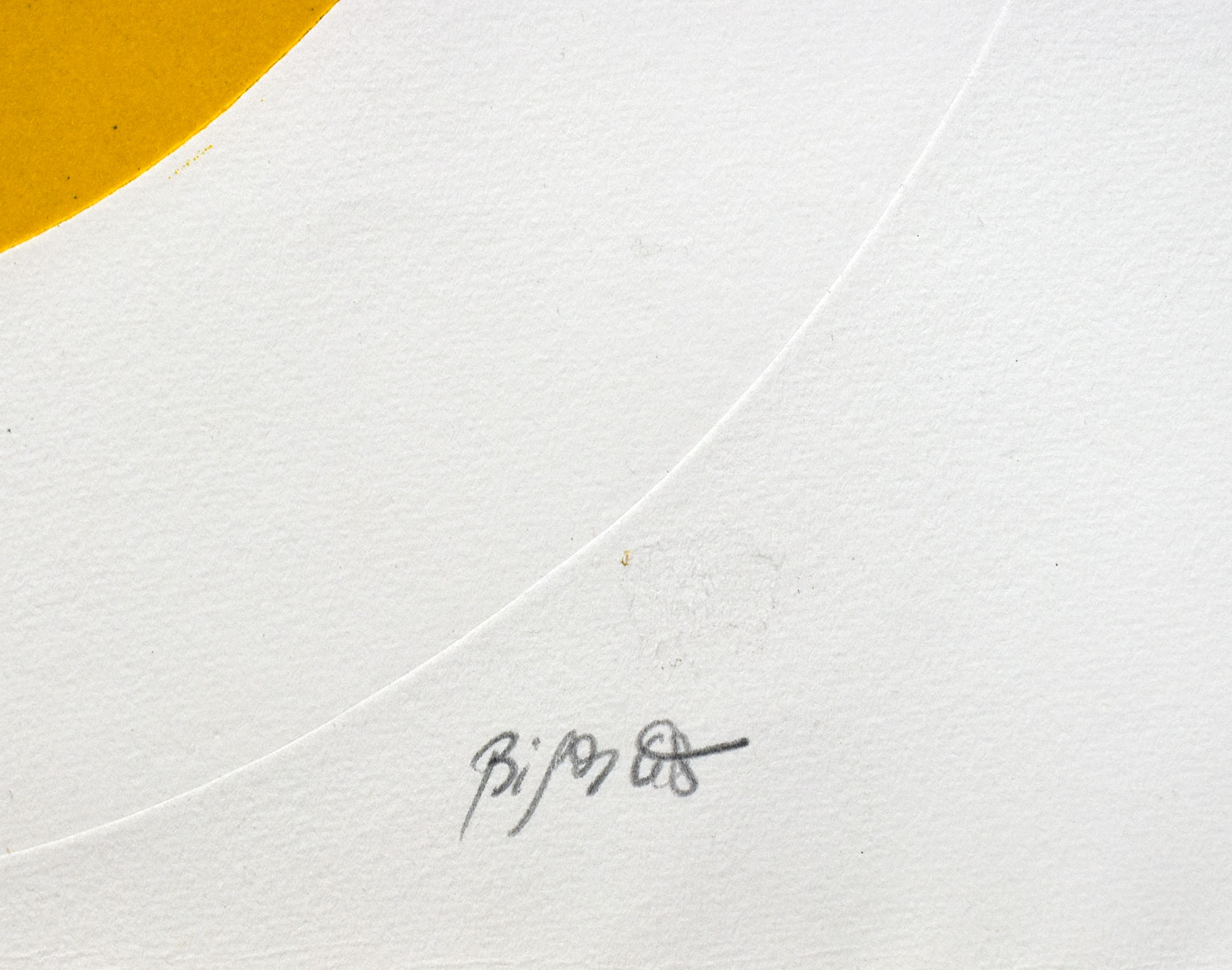 16192DB_2.jpg