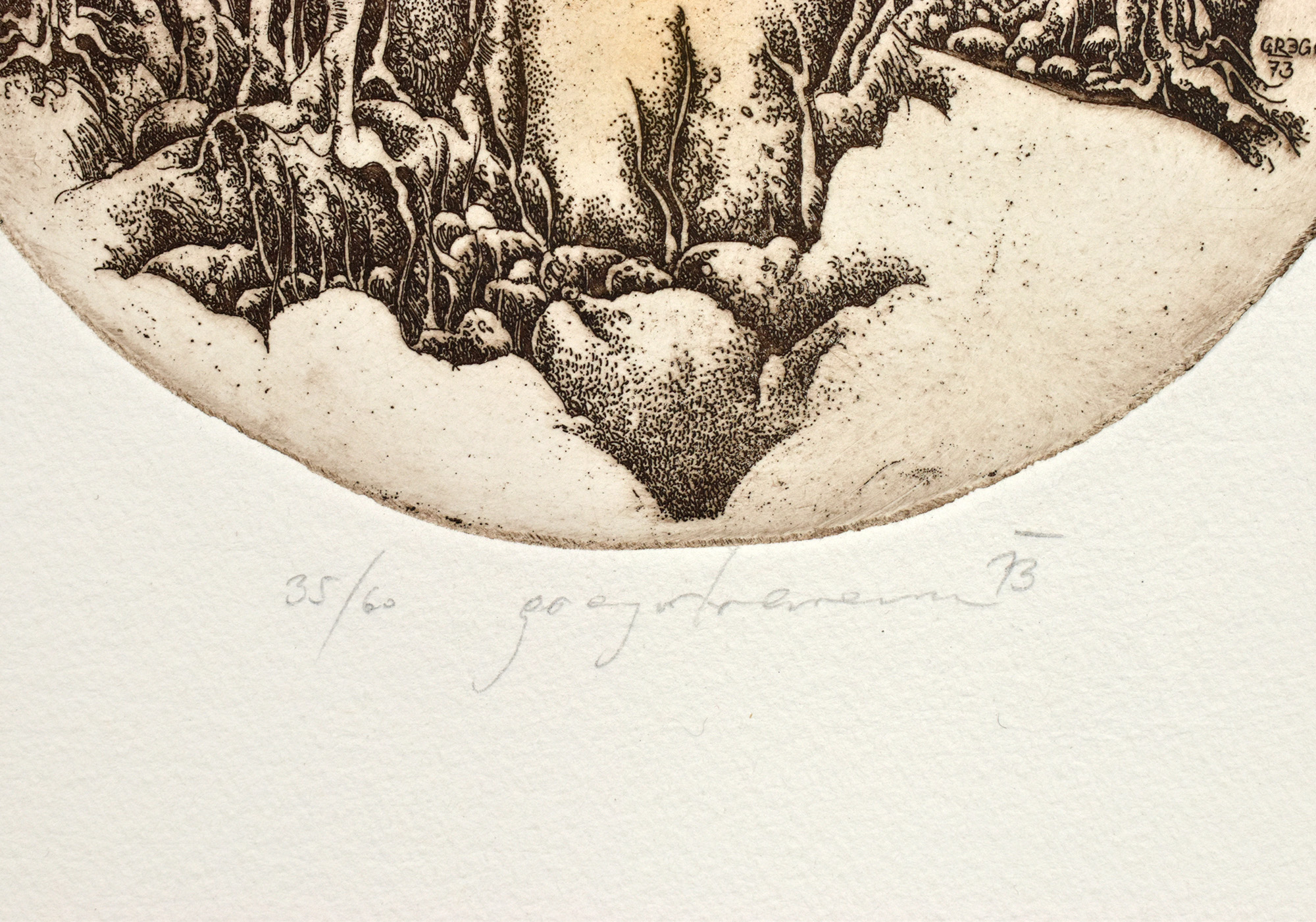 16220DB_2.jpg