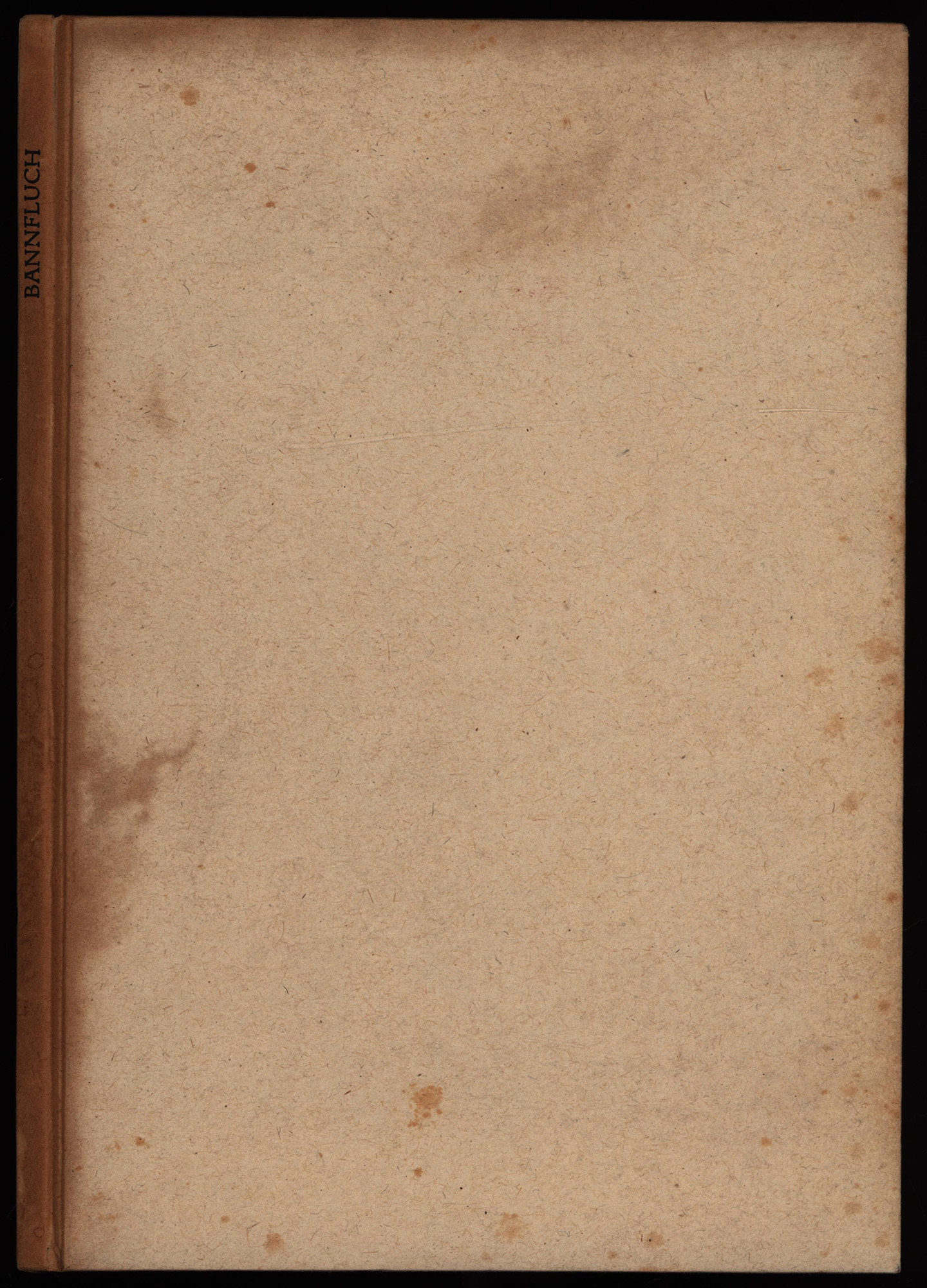 45956AB.jpg