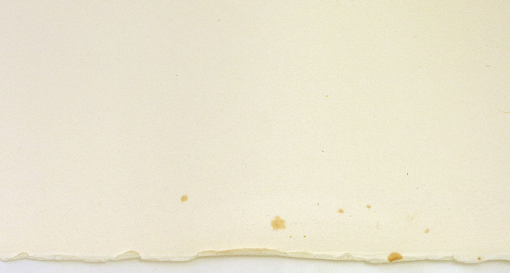 60342BB_6.jpg