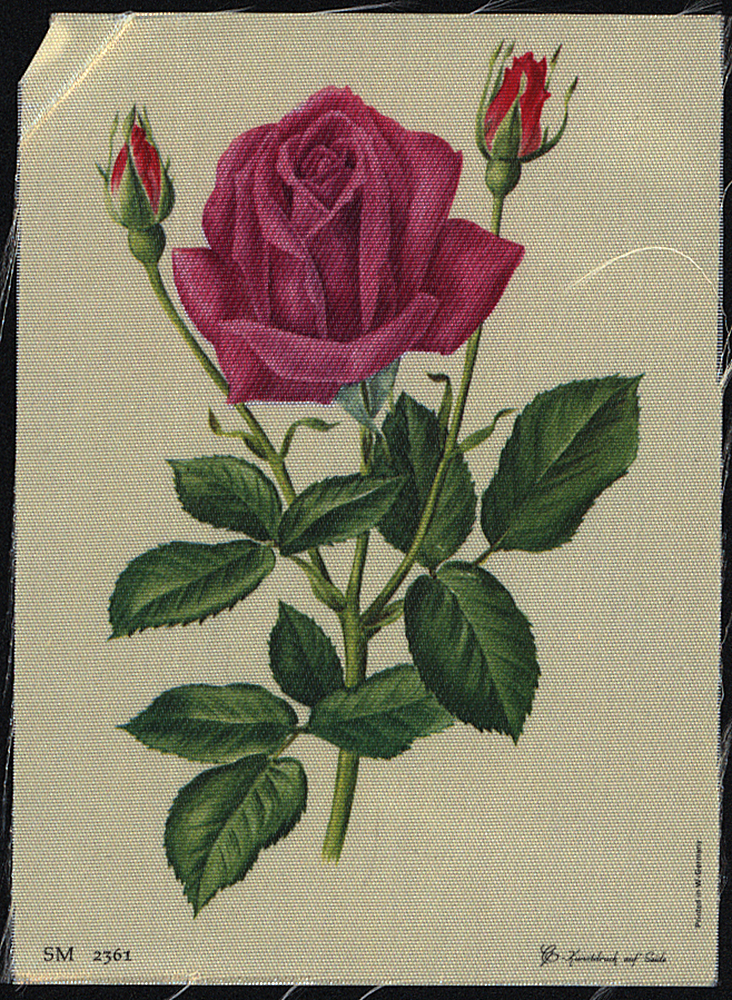 65588CB_3.jpg