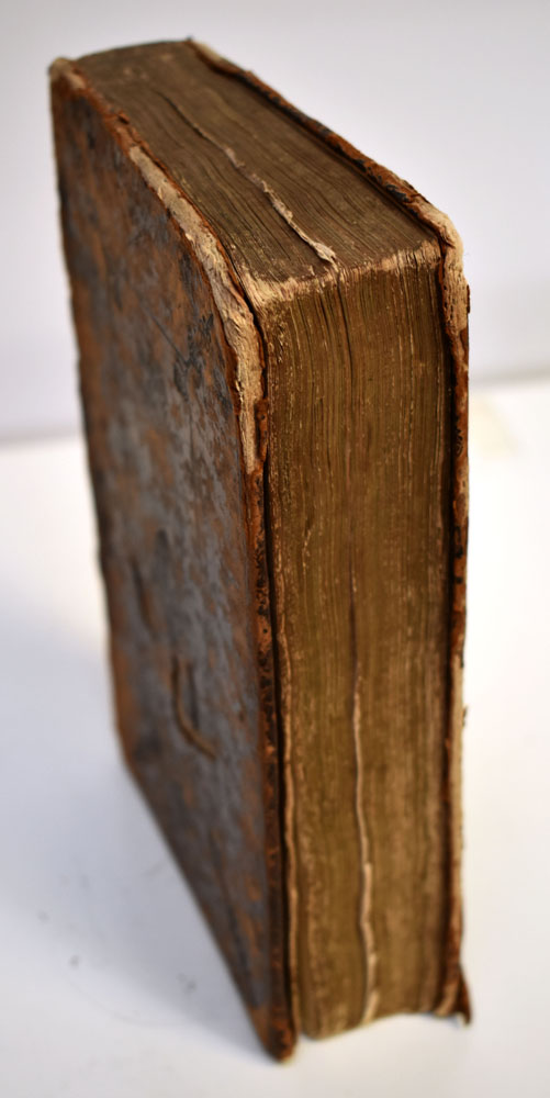 6813EB_5.jpg