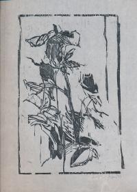 12712DB.jpg